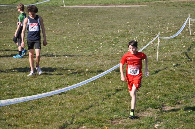 Cross 2016